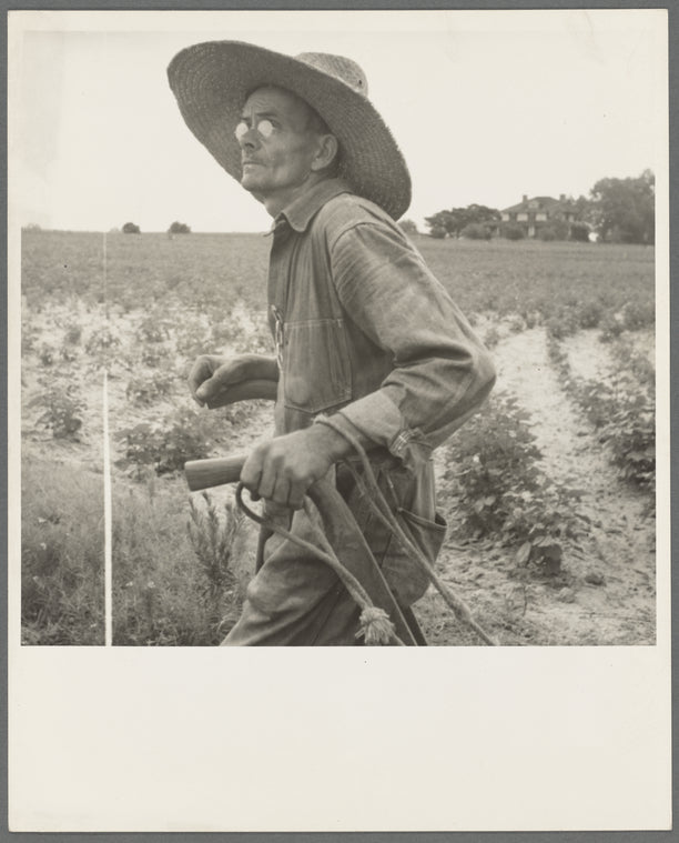 South Carolina sharecropper
