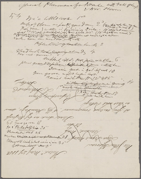 [Notes on general phenomena]. Holograph notes.