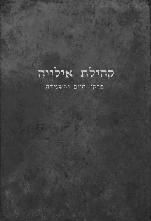 Ilʹ︠i︡a: yizker-bukh : geṿidmeṭ lebns epizodn un dem umḳum fun undzer Yidisher Shṭeṭele Ilye
