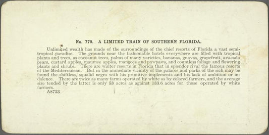 A Limited Train of Southern Florida