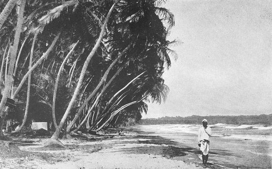 Along the shore, Jamaica.
