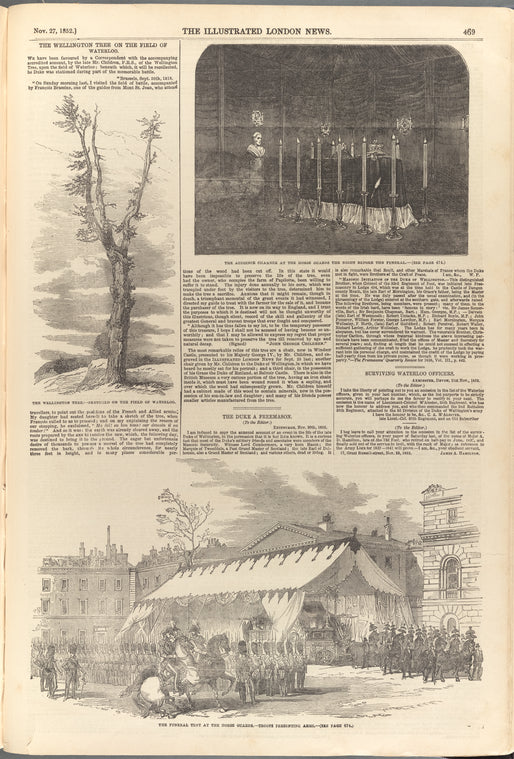 The Wellington Tree on the Field of Waterloo
