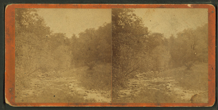 View of a rocky creek bed