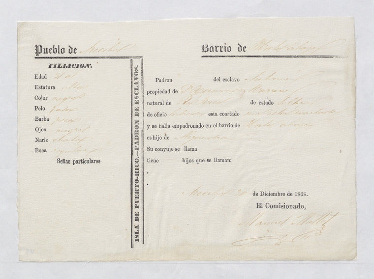 Padron de Esclavos: Antonio