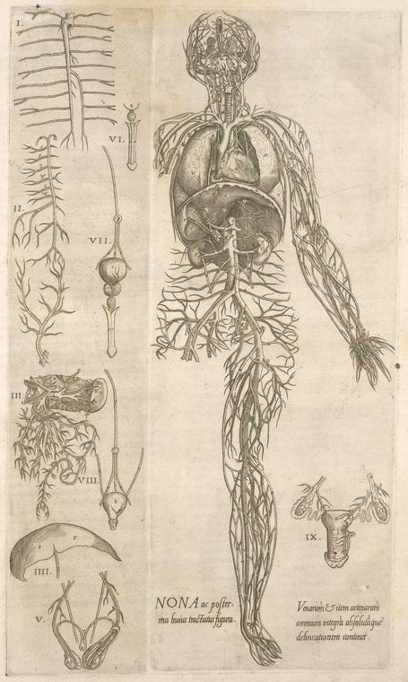 Nona ac postrema huius tractatus figura.