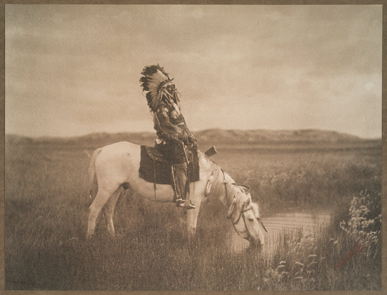An oasis in the Badlands