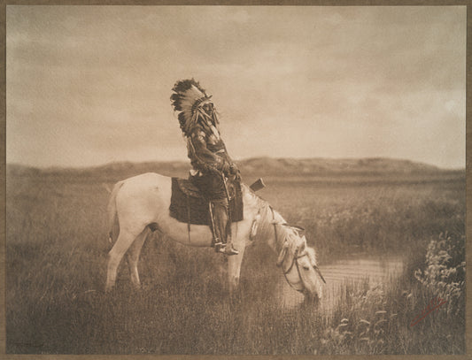 An oasis in the Badlands