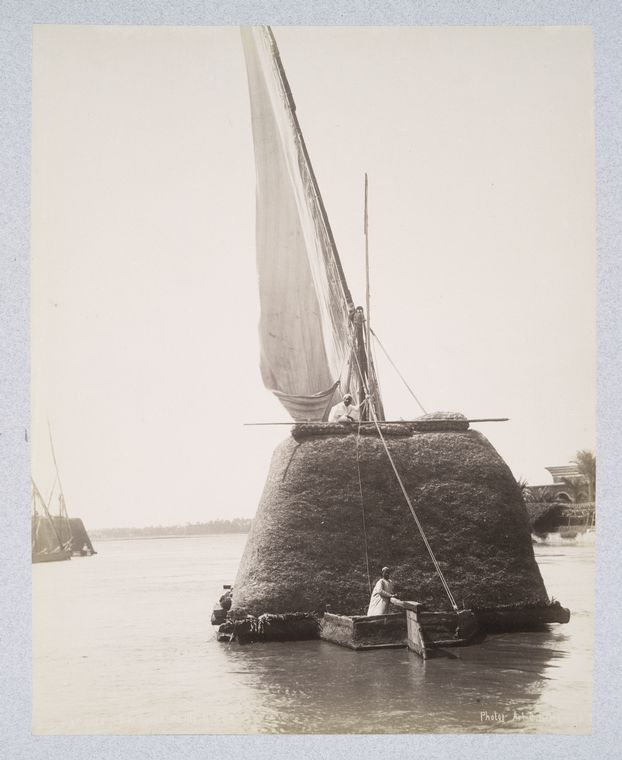 Barques charg[ ] de paillé. Nº 264