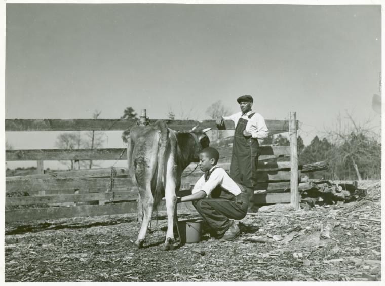 Magnolia homestead, Mississippi, Sept. 1936.
