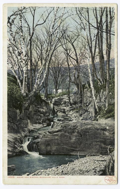 Rocks and Birches, Berkshire Hills, Mass.