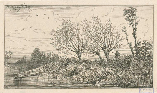 Paysage : saules.