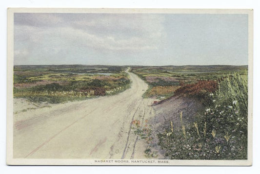 Madaket Moors, Nantucket, Mass.