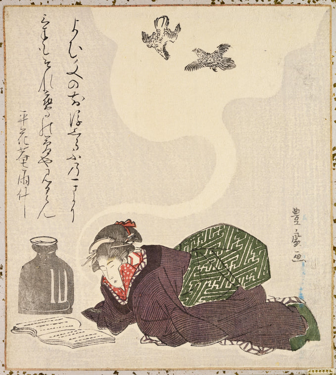 Girl dreaming of hawks fighting