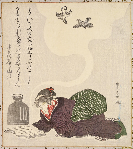 Girl dreaming of hawks fighting