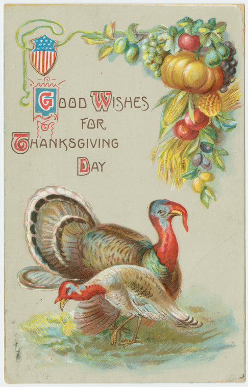 Good wishes for Thanksgiving day.