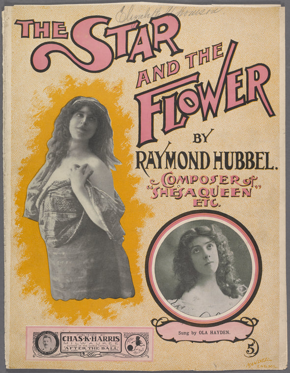 The star and the flower