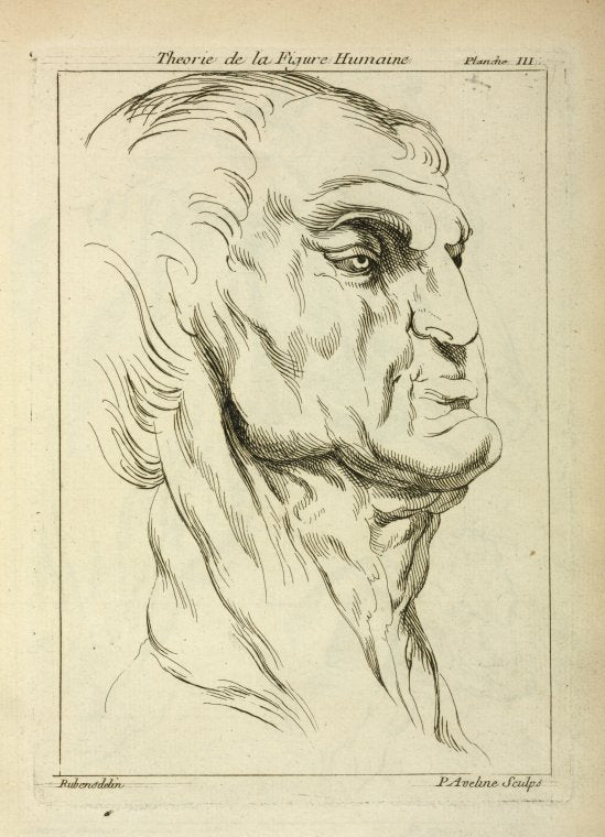 Head of a man