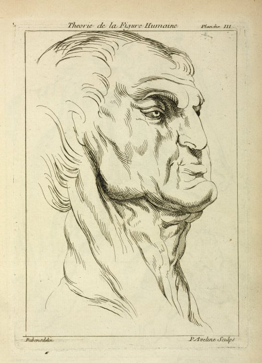 Head of a man