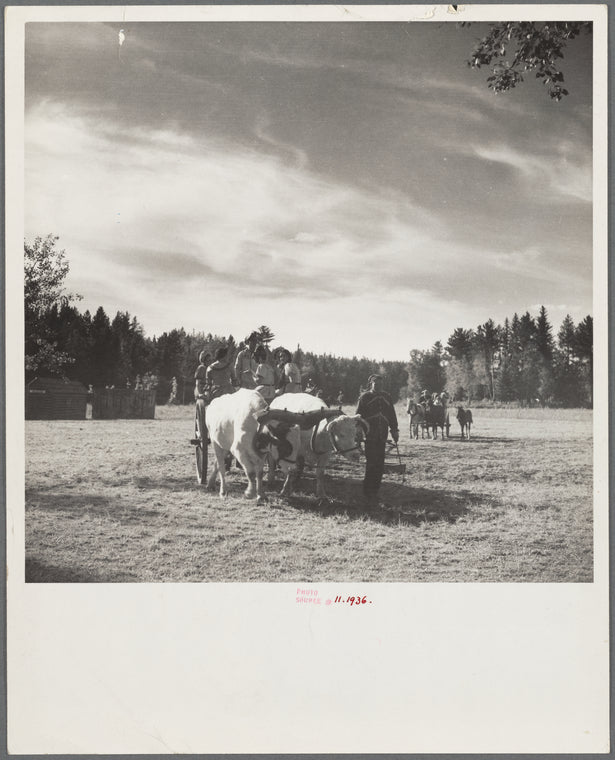 Oxcart used by early settlers of Minnesota