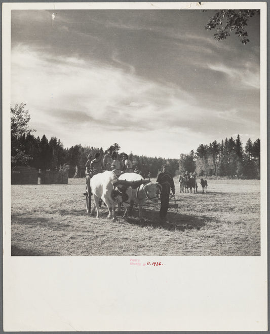 Oxcart used by early settlers of Minnesota