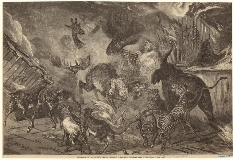 Burning of Barnum's Museum -- the animals during the fire