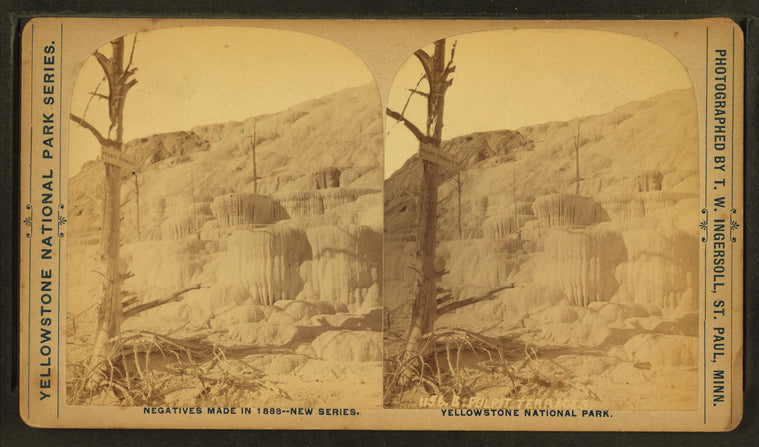 Pulpit Terraces.