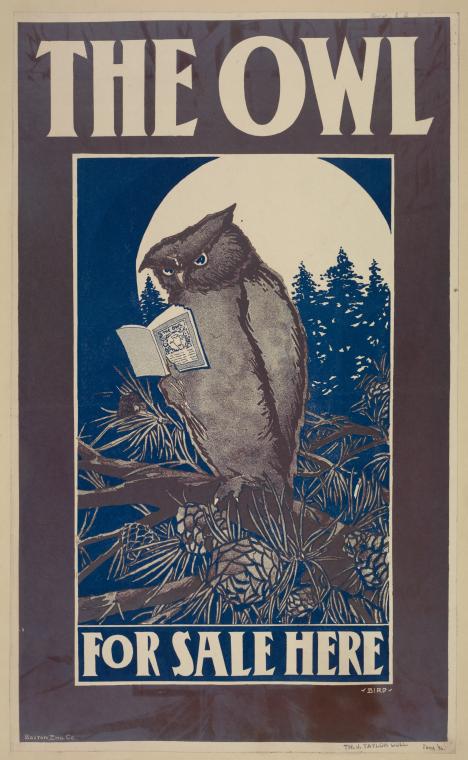 The Owl