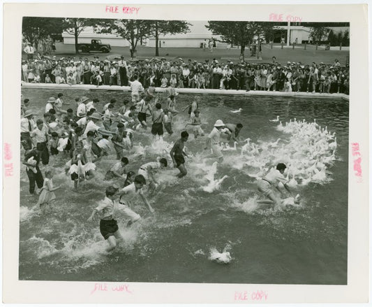 Contests - Duck Chase - Children chasing ducks
