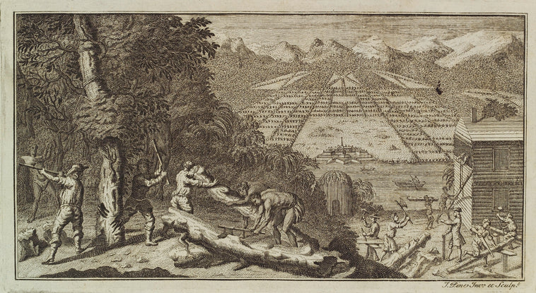 Establishing the Colony of Georgia