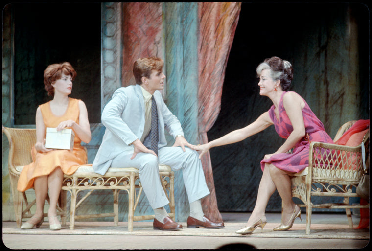 Elizabeth Allen (Leona Samish), Stuart Damon (Eddie Yaeger) and Carol Bruce (Signora Fioria) in Do I Hear a Waltz?