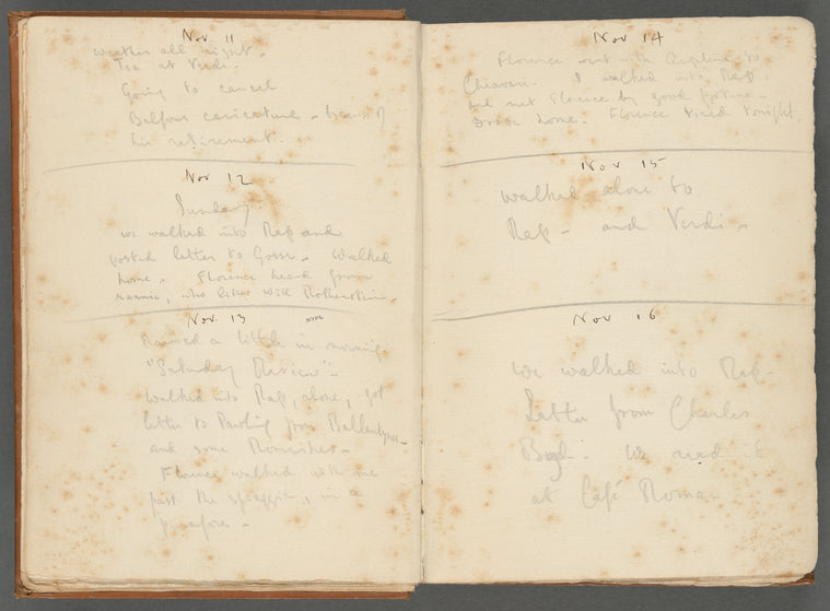 Diary entries