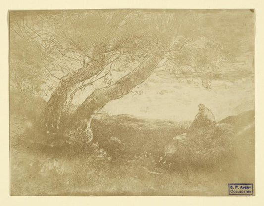 Le songeur (réduction)