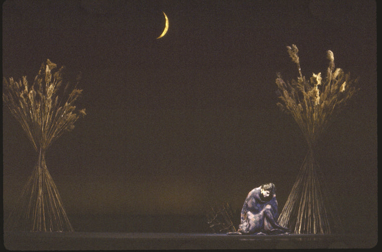 New York City Ballet production of "Watermill" with Edward Villella, choreography Jerome Robbins (New York)