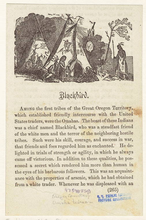 Blackbird