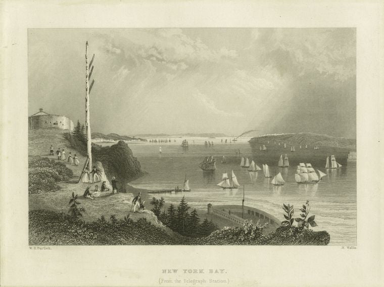 New York Bay (from the Telegraph Station)