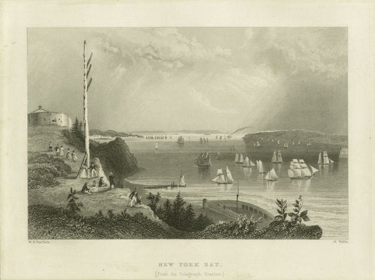 New York Bay (from the Telegraph Station)