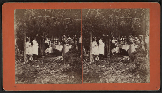 Group eating at table under trees.