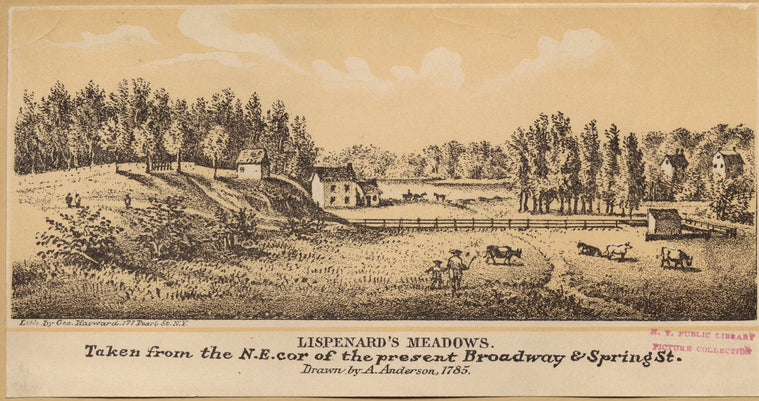 Lispenard's Meadows: Taken from the N.E. cor. of the present Broadway & Spring St