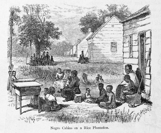 Negro cabins on a rice plantation