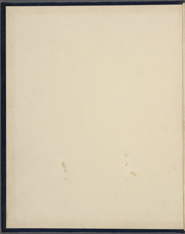 Alexander Hamilton plan of a constitution for America