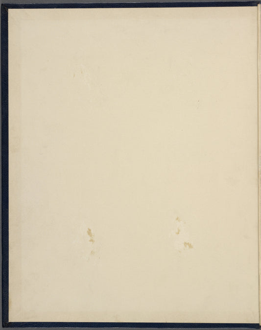 Alexander Hamilton plan of a constitution for America