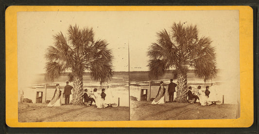 Group of people resting under the palmetto.