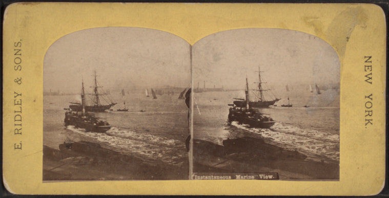 Instantaneous marine view.