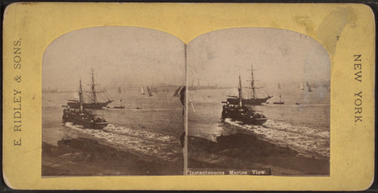Instantaneous marine view.