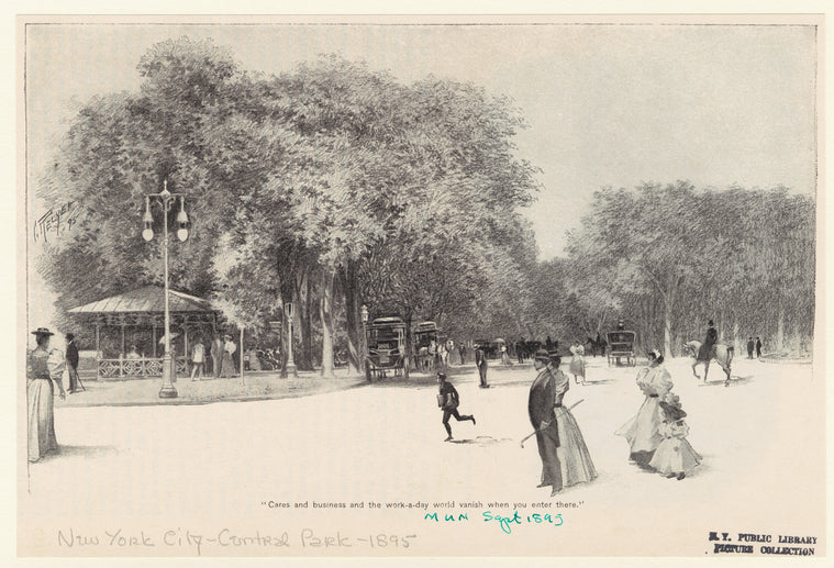 Central Park scene, ca. 1895