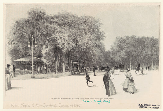 Central Park scene, ca. 1895