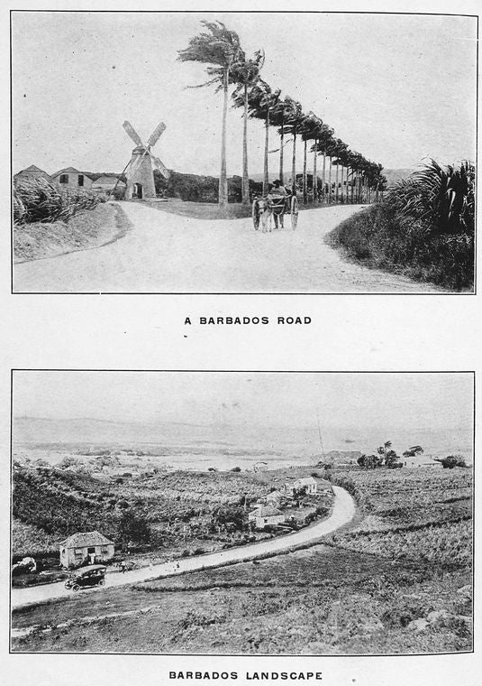 A Barbados road. ; Barbados landscape.