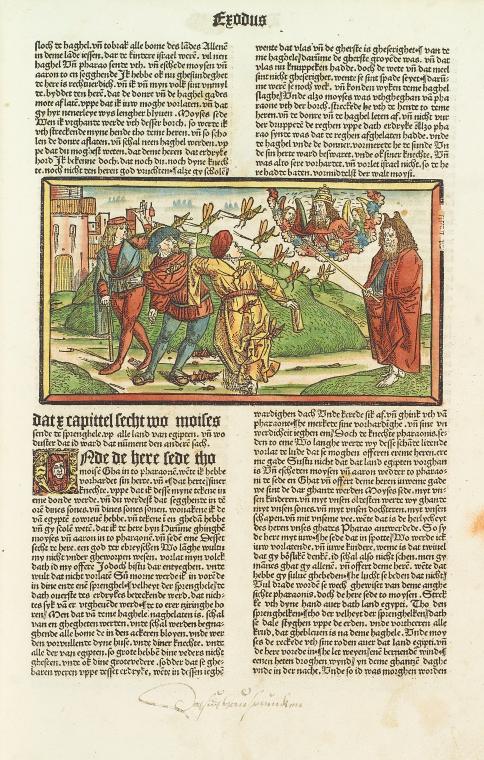 Exodus [Plague of locusts]