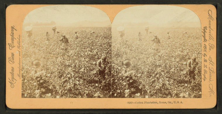 Cotton Plantation, Rome, Ga.