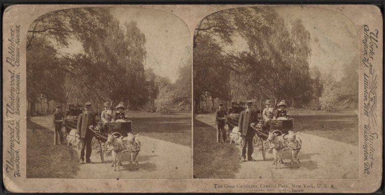 The goat carriages, Central Park, New York, U.S.A.